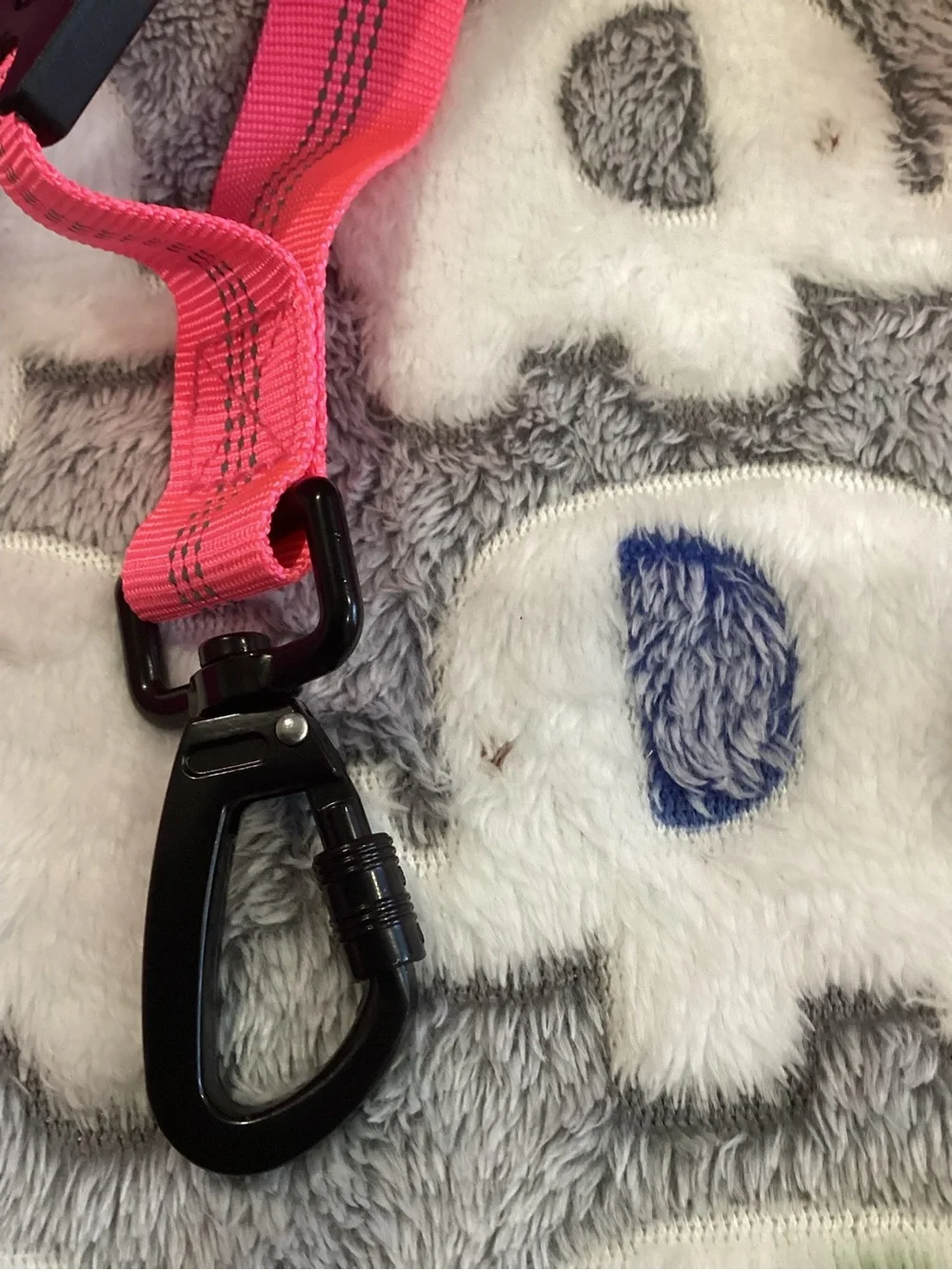 NWOT - Hot Pink Water & Food Btle w/Blk Strap, Leash, Car Restraint, & Collar!!!